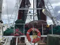 Ọkọ̀ tí ó mú ẹja fún tà