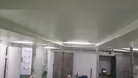 Ọkọ̀ tí ó mú ẹja fún tà