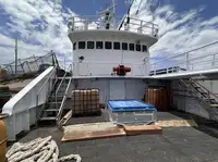 Ọkọ̀ tí ó mú ẹja fún tà