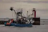 Ọkọ̀ tí ó mú ẹja fún tà