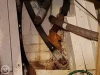 Ọkọ̀ Fẹrrí fún tà