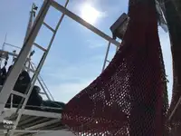 Ọkọ̀ tí ó mú ẹja fún tà