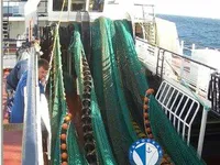 Ọkọ̀ tí ó mú ẹja fún tà
