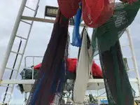 Ọkọ̀ tí ó mú ẹja fún tà