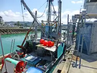 Trawler fun tita