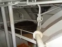 Olopobobo ti ngbe fun tita