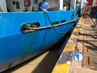 Reefer ọkọ fun tita