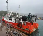 Ọkọ̀ tí ó mú ẹja fún tà