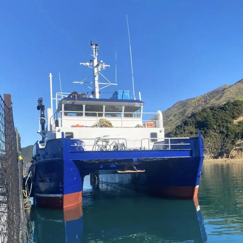 Catamaran fún tà