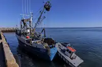 Ọkọ̀ tí ó mú ẹja fún tà