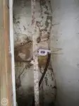 Ọkọ̀ tí ó mú ẹja fún tà