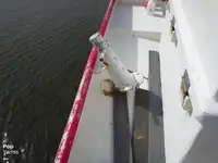 Ọkọ̀ tí ó mú ẹja fún tà