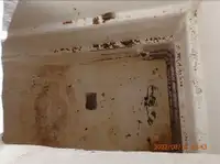 Ọkọ̀ tí ó mú ẹja fún tà