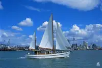 Ọkọ̀ ojú omi tí ó mú ìdọ̀tí fún tà