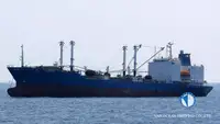 Reefer ọkọ fun tita