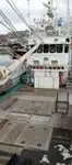 Ọkọ̀ tí ó mú ẹja fún tà