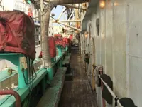 Ọkọ̀ tí ó mú ẹja squid fún tà