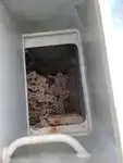 Ọkọ̀ Fẹrrí fún tà