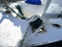 Ọkọ̀ tí ó mú ẹja fún tà