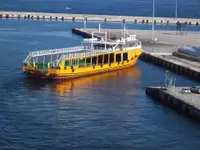 Ọkọ̀ ojú omi ìrìn-àjò tí ó mú àwọn ọkọ̀ fún tà
