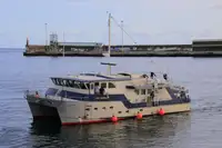 Ọkọ̀ ìwádìí fún tà