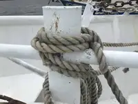 Ọkọ̀ tí ó mú ẹja fún tà