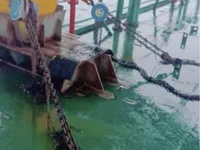 Ọkọ̀ fún tà