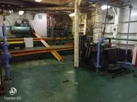 Olopobobo ti ngbe fun tita