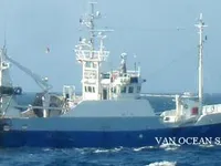 Ọkọ̀ tí ó mú ẹja fún tà