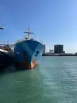 Reefer ọkọ fun tita