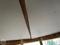Ọkọ̀ tí ó mú ẹja fún tà