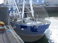 Ọkọ̀ tí ó mú ẹja fún tà