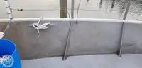 Ọkọ̀ tí ó mú ẹja fún tà