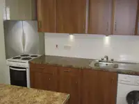 Ọkọ̀ ojú omi tí ó mú ìdọ̀tí fún tà