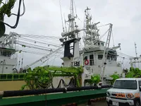 Ọkọ̀ tí ó mú ẹja fún tà
