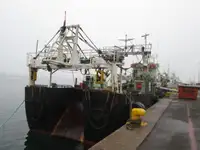 Ọkọ̀ tí ó mú ẹja fún tà