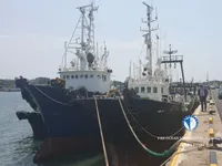 Ọkọ̀ tí ó mú ẹja fún tà