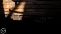 Ọkọ̀ tí ó mú ẹja fún tà