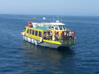 Ọkọ̀ Fẹrrí fún tà
