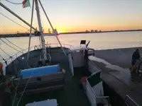 Ọkọ̀ tí ó mú ẹja fún tà