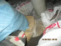 Ọkọ̀ tí ó mú ẹja fún tà