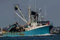 Purse seiner fun tita