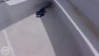 Àtìlẹyìn ìwàdìí fún tà