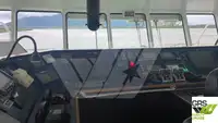 Ro-Ro ship fun tita