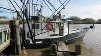 Trawler fun tita