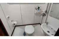 Ọkọ̀ tí ó mú ẹja fún tà