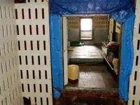 Ọkọ̀ tí ó mú ẹja pọ̀ fún tà