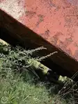 Ọkọ̀ fún tà