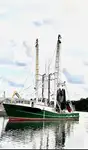 Trawler fun tita