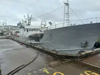 Ọkọ̀ tí ó mú ẹja pọ̀ fún tà